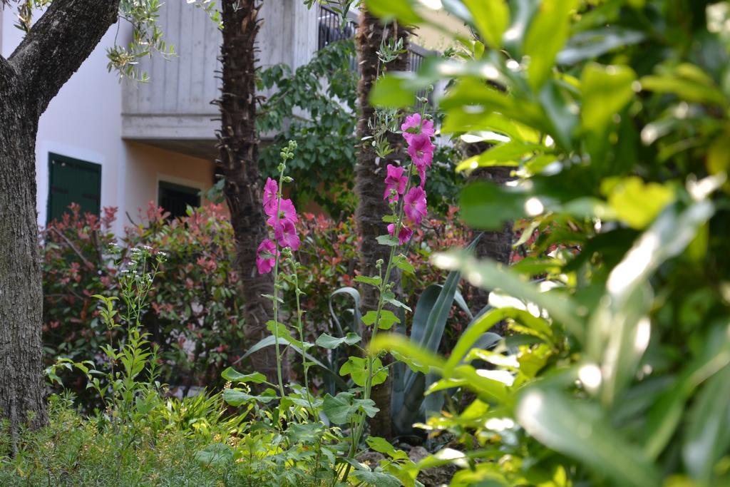 B&B Garda 4U Desenzano del Garda Eksteriør bilde